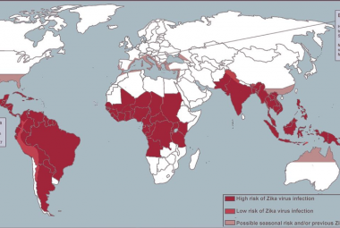 Zika Virus Map