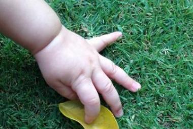Baby Hand in grass